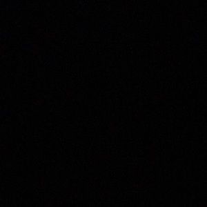 Meet your Posher, Neda